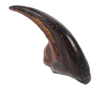 DIYEAH Realistic Resin Monolophosaurus Dinosaur Claw Sculpture, Authentic Replication Model with Educational Value, Coffee Colour Resin Dinosaur Claw for Science Classroom Display or Home