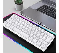Diyeeni 61 Key RGB Gaming Keyboard, Compact Russian Layout Wired Mechanical Keyboard with RGB Backlit Modes Anti Ghosting Technology, for PC Gaming Typing Work (White)