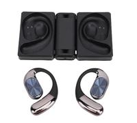Diyeeni AI Translation Earbuds Real Time Translator 133 Languages Bluetooth 6.0 with APP for IOS Travel Business Learning (Black)