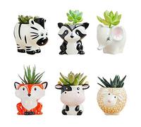DIYOMR Cute Animal Ceramics Planter Small Succulent Pot Cartoon Shaped Plant Pot for Mini Plants Flower Cactus, Smooth Shiny Ceramic - Plants Not Included (6 Animals Set)