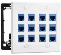 DIYTECH Ethernet Wall Plate - 12 Port RJ45 Cat6 Ethernet Wall Outlet, Female to Female Cat6 Wall Jack Keystone, Ethernet Plug in Wall Outlet, for Network Outlet Setup - White