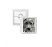 DIYthinker Handsome Dog Pet Animal Picture PBT Keycaps for Mechanical Keyboard White OEM No Marking Print R1
