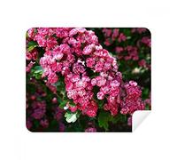 DIYthinker Pink Flowers Beautiful Green Leaves Phone Screen Cleaner Glasses Cleaning Cloth 2Pcs Suede Fabric