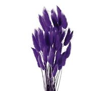 Diyxisk Pampas Grass Bouquet,50 Pcs Natural Phragmites Dried Flowers,Bunny Tail Grass Boho Decor,Suitable for Vase Wedding Dining Table Room Home Decor Accessories Living Room（Deep Purple）