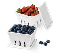 Dizada Ceramic Berry Basket with Lids, Fruit Bowl/Baskets with Covers, 5 Inch Colander For Kitchen, Fruit Bowls for Strawberry, Grape, Cherry, Berries, Stoneware Harvest Bowls Set of 2, White