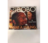 DJ BoBo & Irene Cara - What a feeling (& Irene Cara)