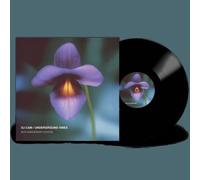 DJ CAM: UNDERGROUND VIBES (30TH ANNIVERSARY) - LP vinyl BRAND NEW