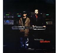 DJ culture [VINYL]