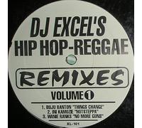 DJ Excel's Hip Hop-Reggae Remixes Volume 1