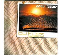 Dj Flex - Good Feelin'