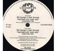 DJ George J Feat Sevynn - Never Gonna Let You [12" VINYL]
