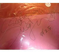 悲しみの花に DJ HASEBE remix [Analog]