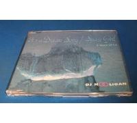 DJ Hooligan - It'S a Dream Song