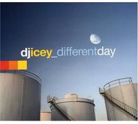 DJ Icey - Different Day