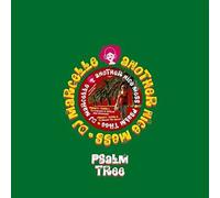 DJ MARCELLE/ANOTHER NICE MESS - PSALM TREE VINYL LP SINGLE NEW