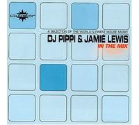 DJ Pippi - In the Mix