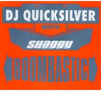 DJ Quicksilver - Boombastic