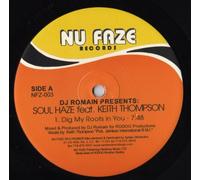 DJ Romain - DJ Romain Presents Soul Haze Feat. Keith Thompson: Dig My Roots In You - 12"
