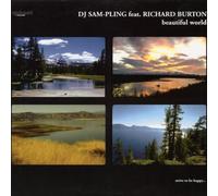 DJ Sam-Pling Ft.Burton,Richard - Beautiful World [Vinyl Maxi-Single] [VINYL]
