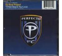 DJ Scot Project - Y (How Deep Is Your Love) [CD 2] [CD 2]
