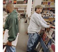 Dj Shadow - Endtroducing [VINYL]