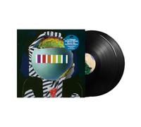 DJ Shadow - The Mountain Will Fall [VINYL]