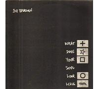 DJ Shadow - What Does Your Soul [12" VINYL]