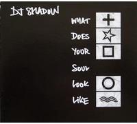 DJ Shadow - What Does Your Soul Look Like