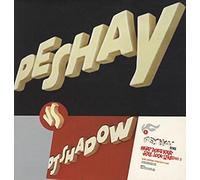 DJ SHADOW / WHAT DOES YOUR SOUL LOOK LIKE (REMIX)