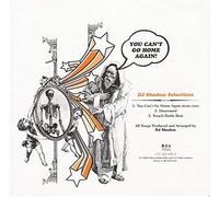 DJ Shadow - You Can't Go Home Again!