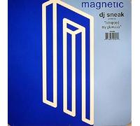 DJ Sneak - I Dropped My Gold [12" VINYL]