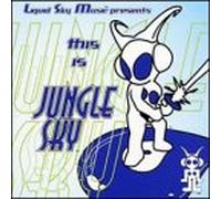 DJ Soul Slinger - This Is Jungle Sky