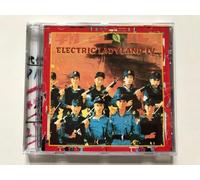 DJ Spooky - Vol. 4-Electric Ladyland