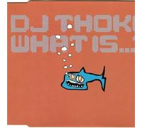 DJ Thoka - What Is