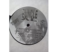 DJ Uncle Al - Money-N-Da House [12" VINYL]