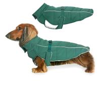 DJANGO Insulated Puffer Dog Jacket with Harness Hole - Warm, Water-Repellent Winter Dog Coat Small Dogs, Dachshunds, Puppies - Adjustable, Reflective Cold Weather Dog Apparel - Lafayette Green, Medium