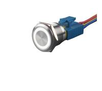DJDLFA 25mm Stainless Steel Reset Momentary Metal Push Button Switch for Car Computor Panelboard with LED Light 24v12v3v6v220v 5A(3-6V Momentary white)