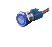 DJDLFA 25mm Stainless Steel Reset Momentary Metal Push Button Switch for Car Computor Panelboard with LED Light 24v12v3v6v220v 5A(3-6V momentary blue)
