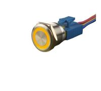 DJDLFA 25mm Stainless Steel Reset Momentary Metal Push Button Switch for Car Computor Panelboard with LED Light 24v12v3v6v220v 5A(3-6Vmomentary yellow)
