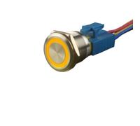 DJDLFA 25mm Stainless Steel Reset Momentary Metal Push Button Switch for Car Computor Panelboard with LED Light 24v12v3v6v220v 5A(220V momentary yello)