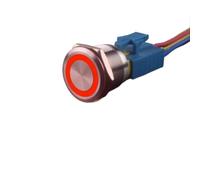 DJDLFA 25mm Stainless Steel Reset Momentary Metal Push Button Switch for Car Computor Panelboard with LED Light 24v12v3v6v220v 5A(220V momentary red)