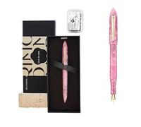DJDLFA Gift Box Pen for Men and Women, Exquisite High End Student Calligraphy Practice Gift(Millennium)