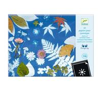 Djeco DJ09338 Cyanotype Papers x 12