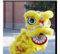 DJHGNFRDK Traditional Chinese Lion Dance Outfit 2 Player Adult Wool Lion Dance Head Multicolor Chinese New Year(Yellow Head)