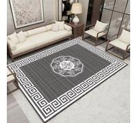 DJHWWD Anti Slip Conservatory Rug grey 130x180CM,Chinese style for Front Door,Outside,Kitchen