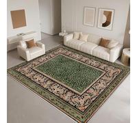 DJHWWD Anti Slip Rugs for Bedroom 60x90cm,Front Door Mat Retro Geometry for Kitchen,Outside,Chair Green