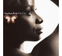 Djin Djin by Angelique Kidjo (2007-12-15)