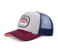 Djinns Trucker Cap Food Avocados Navy Dark Blue, Tomato Soup (Grey), One Size