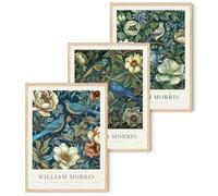 Djmwtb William Morris Wall Art Vintage Poster Prints Set of 3 Botanical Bird Aesthetic Pictures Gallery Artwork Canvas Painting Wall Decor for Living Room Bedroom Office 16x24in Unframed