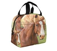 DJNGN Brown and White Horse Large Lunch Bag Farm Animal Wild Wildlife Field Beautiful Portrait Insulated Lunch Bag for Work School Outdoor